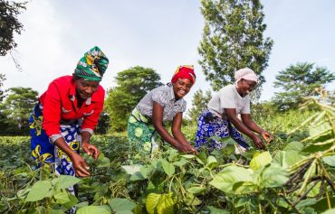 Formations Pratiques