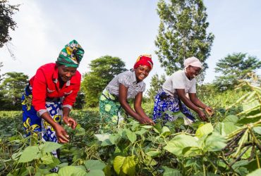 Formations Pratiques