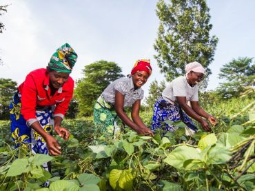 Formations Pratiques