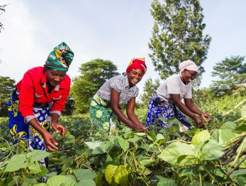 Formations Pratiques